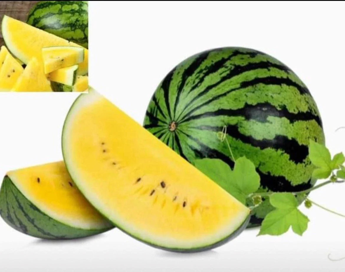 Sweet Petite Yellow Watermelon Seeds – Heirloom Non-GMO Citrullus lanatus, Packaged Seeds for Home Garden & Container Planting