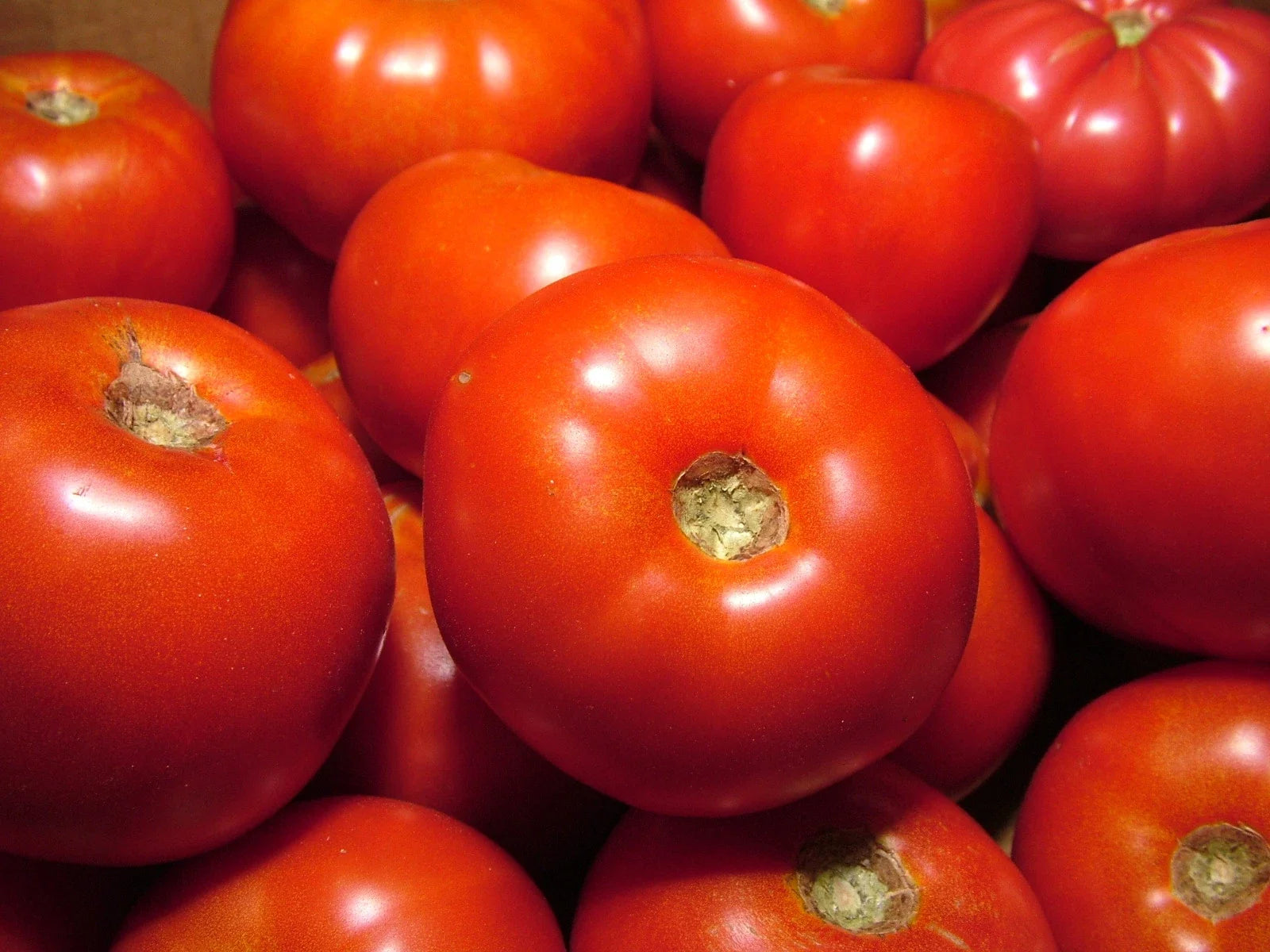 Rutgers Tomato Seeds - 15 Pack, Heirloom, Slicing, Solanum lycopersicum, Organic, Juicy, Large Fruits