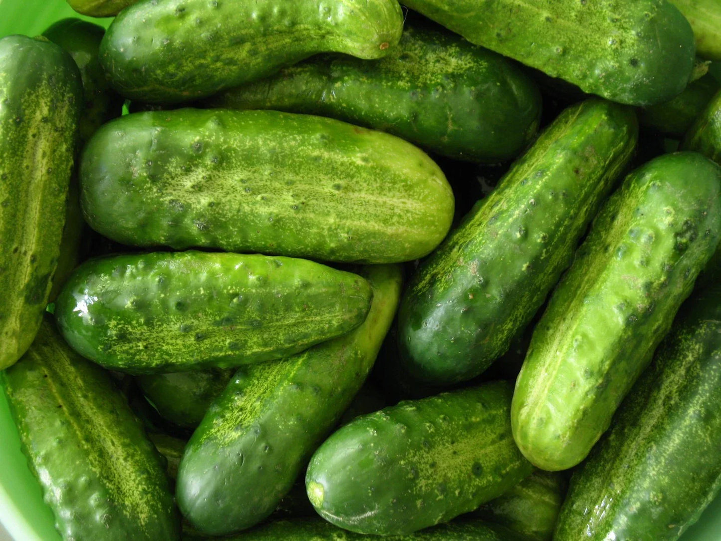 Homemade Pickles Cucumber Seeds - NON-GMO Heirloom Cucumis sativus for Pickling