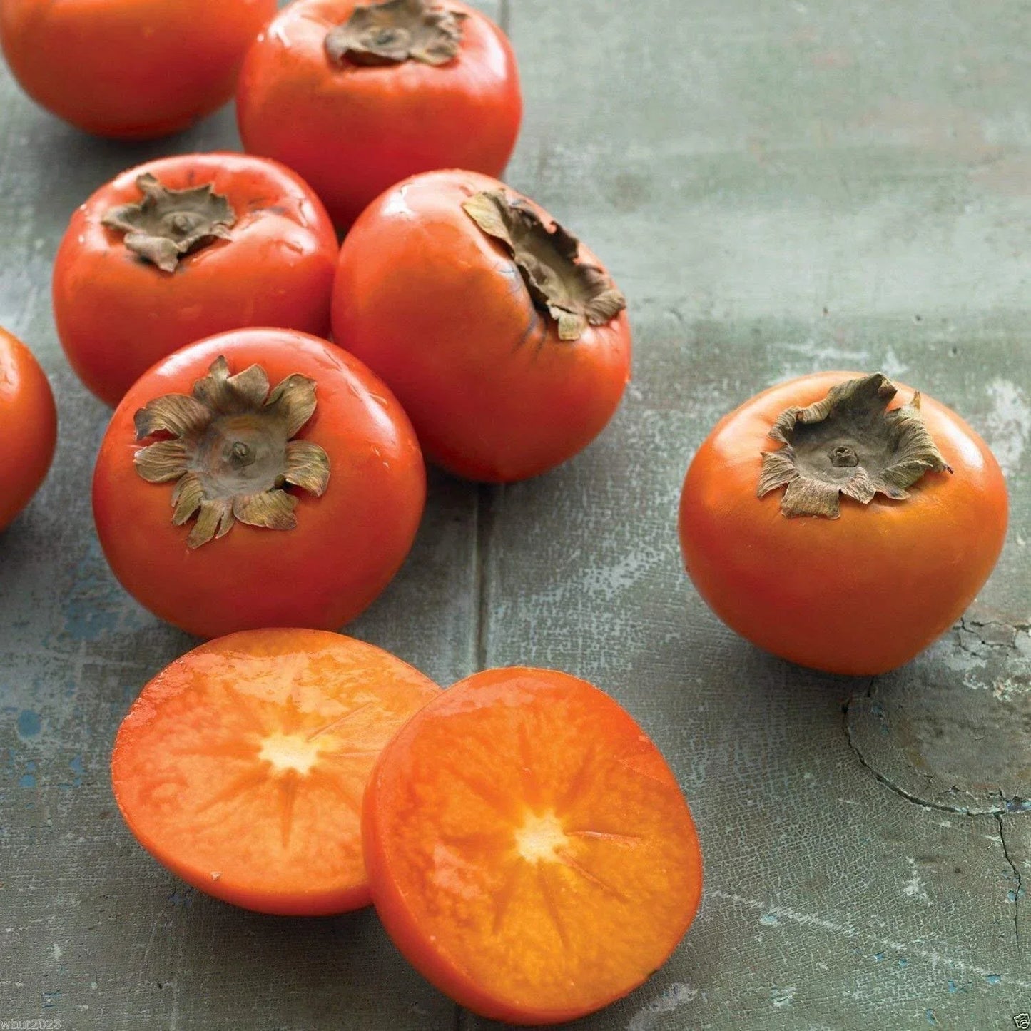 American Persimmon Seeds - Diospyros virginiana - Edible Fruit Tree Seeds - 10 Count for Garden Cultivation