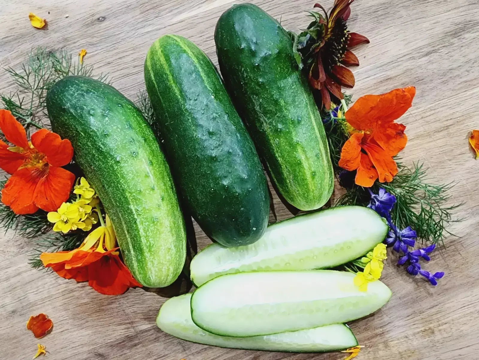 Wisconsin SMR-58 Cucumber Seeds – Heirloom Organic Non-GMO Cucumis sativus for Pickling & Fresh Eating, 100+ Seeds