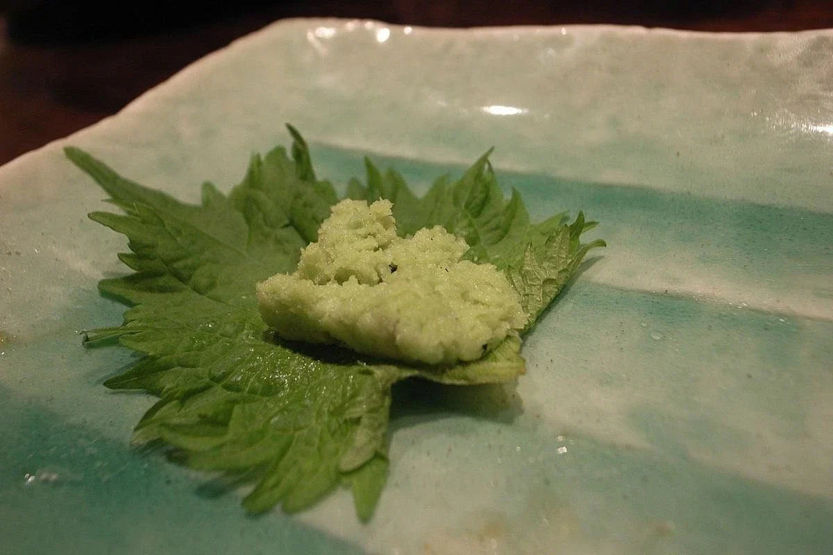 Green Shiso Seeds - Perilla frutescens Herb Seeds for Culinary Use, Heirloom, Non-GMO, Tracking Included