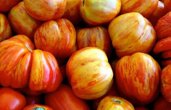 Old German Tomato Seeds - Heirloom Lycopersicon esculentum for Home Gardening, Juicy, Large Ribbed Fruit, Non-GMO