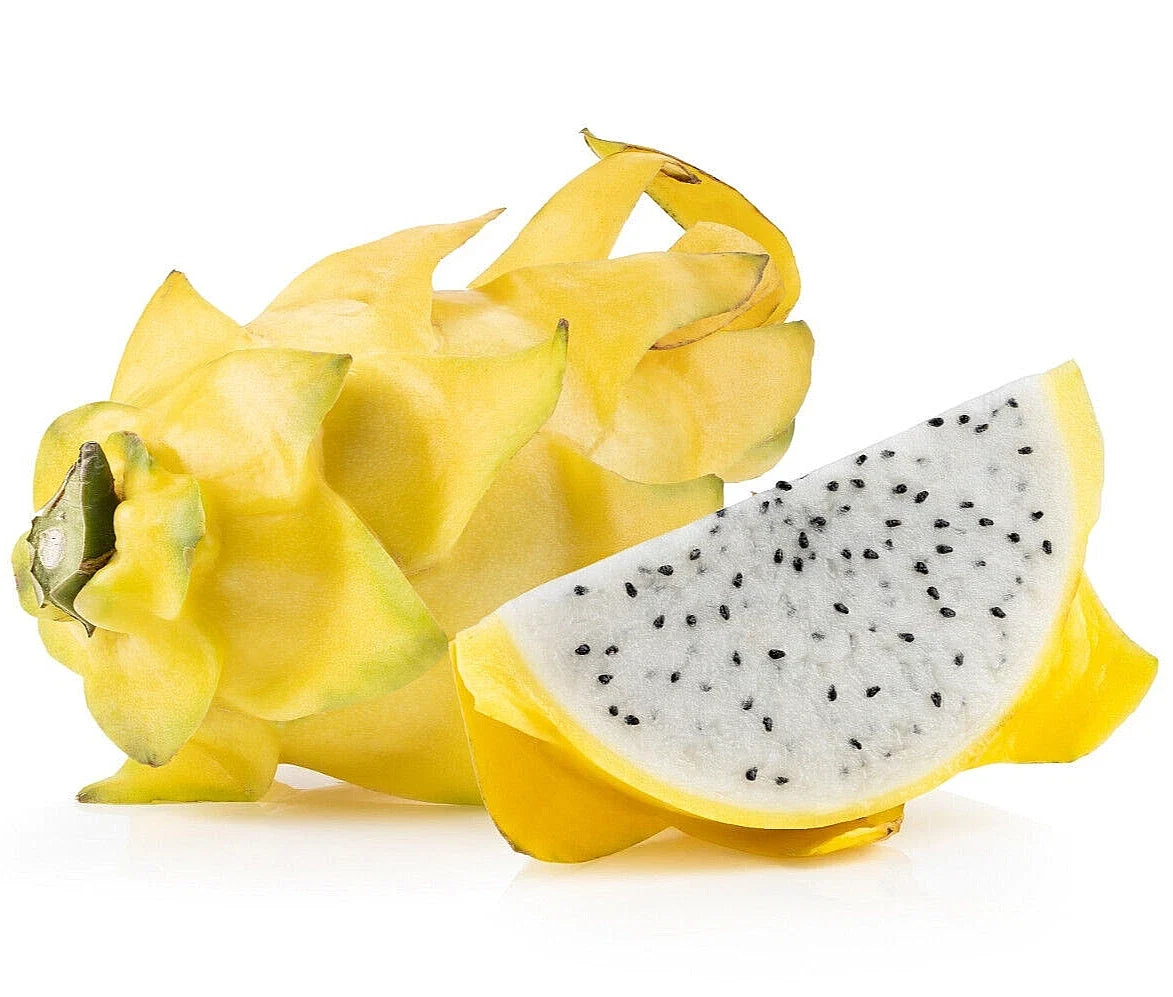 Yellow Dragonfruit Seeds - 10+ Pack - Pitaya Cactus Hylocereus megalanthus for Home Garden & Urban Farming