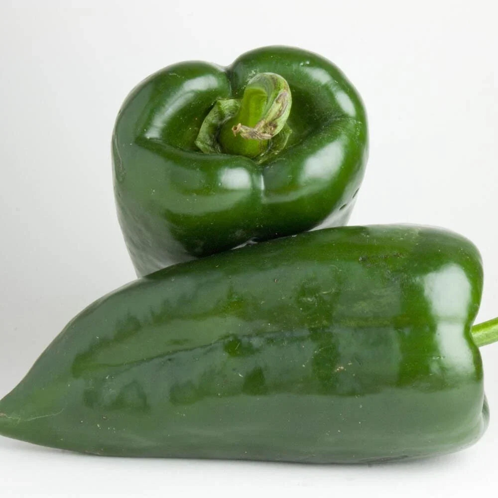 Poblano Pepper Seeds, Heirloom Non-GMO Vegetable Seeds, Capsicum annuum, for Garden, Bountiful Harvest