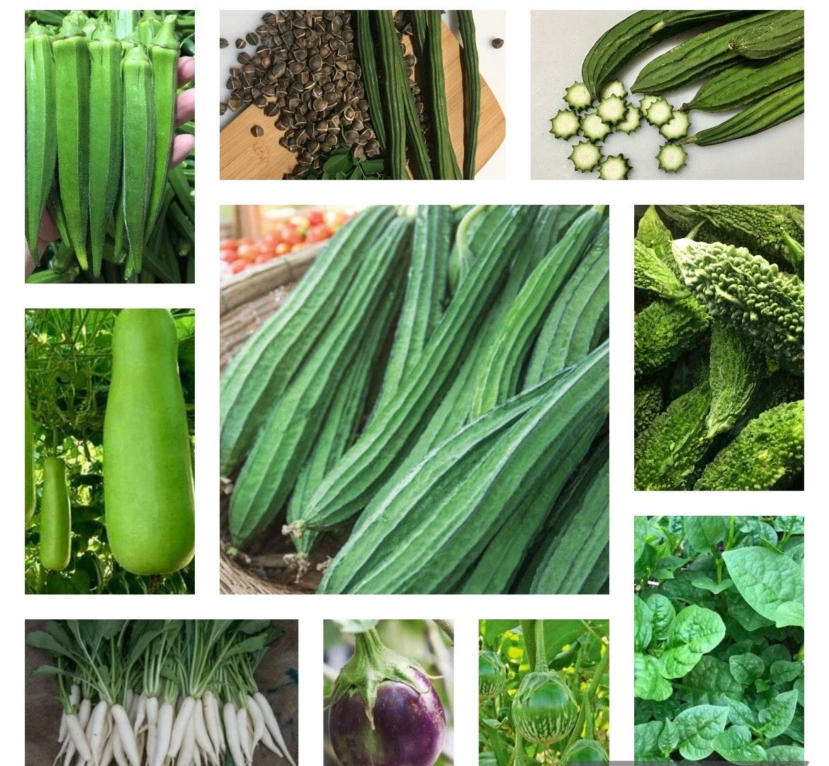 Asian Vegetable Seeds Bundle – 10 Heirloom Non-GMO Seed Packets for Home Gardening, Includes Bok Choy, Daikon, Eggplant, Snow Peas