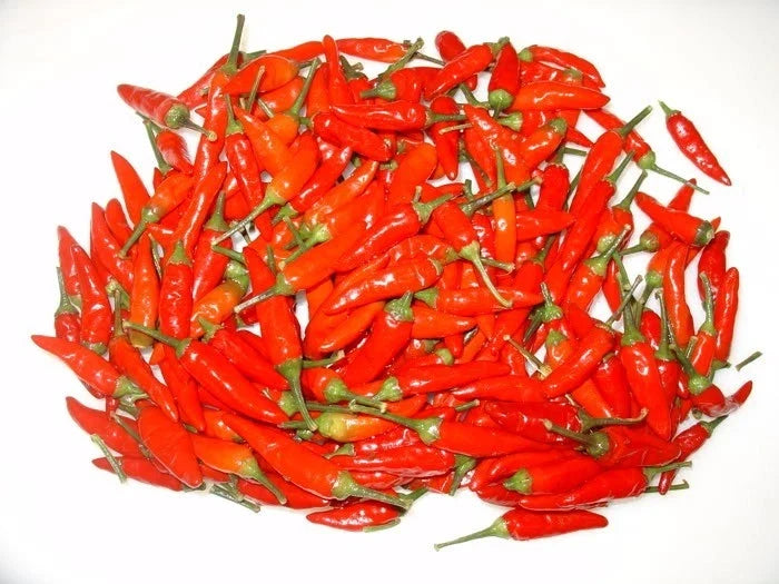 Tabasco Pepper Seeds - Hot Variety for Sauce, Prolific Capsicum frutescens, Container Gardening, Non-GMO, 25 Seeds