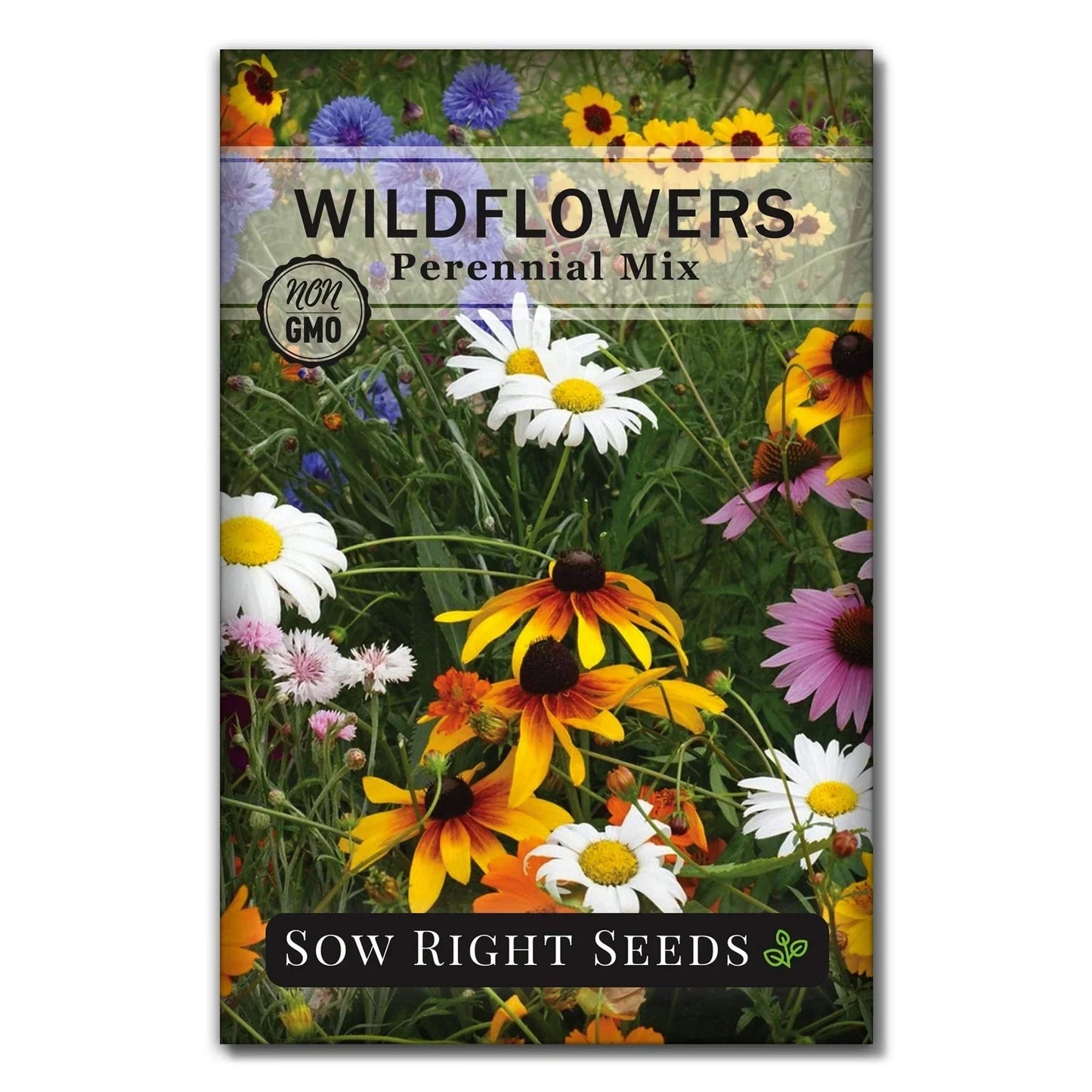 Wildflower Seeds Mix - Non-GMO Heirloom Perennials for Natural Gardens, Pollinator Friendly
