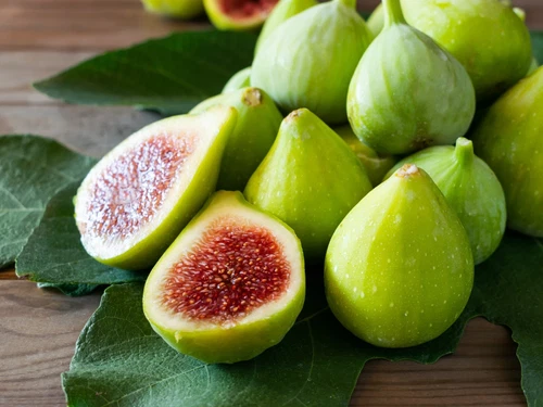 Green Ischia Fig Tree Cuttings – 2 Unrooted Ficus Carica Cuttings with Natural Willow Water