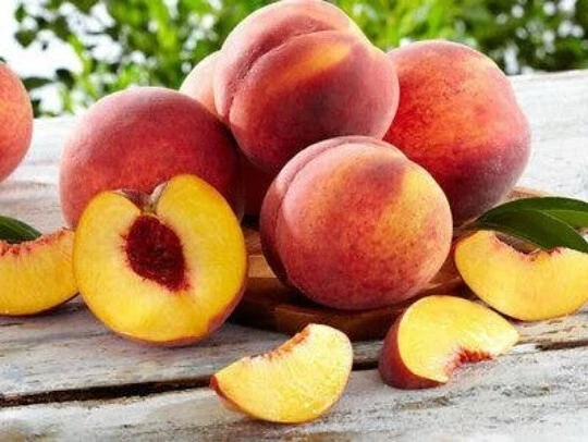 Nemaguard Peach Tree Rootstock Cuttings – Unrooted 6-8 Inches, Prunus persica, Grafting Propagation, Fruit Tree Rootstock