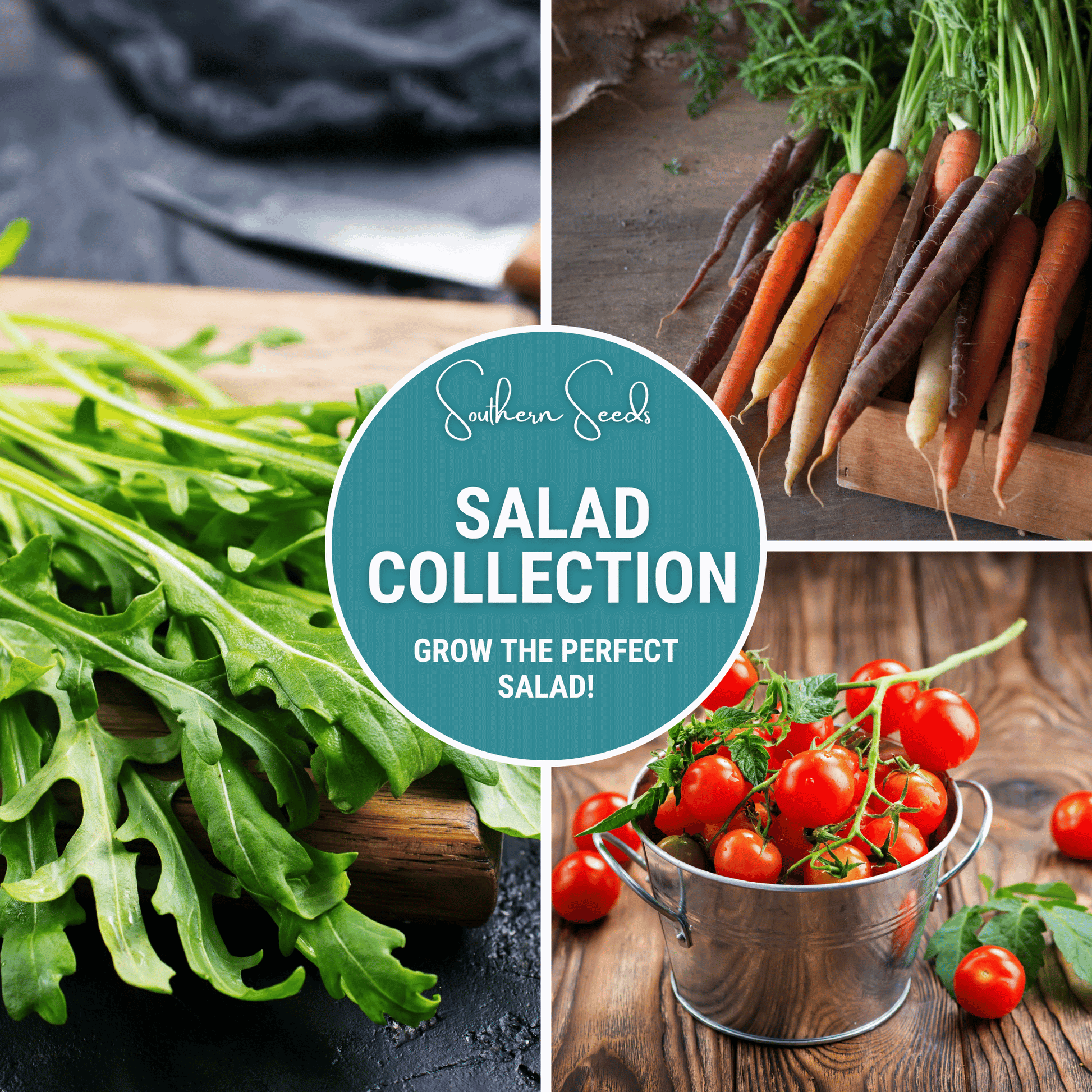 Salad Seed Collection – 6 Varieties for Fresh Garden Salads – Lettuce, Cucumber, Arugula, Radish, Tomato, Carrot Seeds