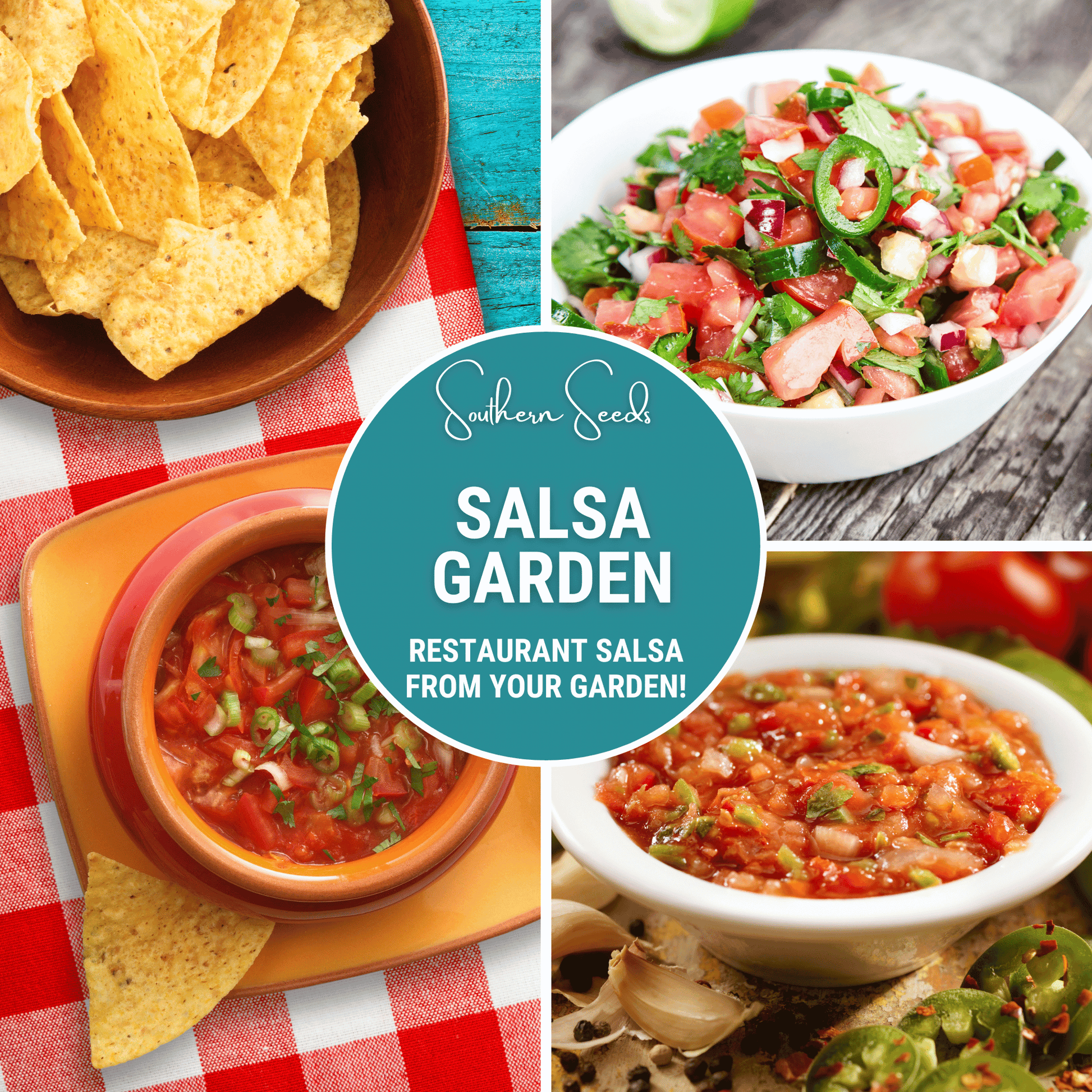 Salsa Seed Collection – Heirloom Tomato, Jalapeno, Cilantro & Peppers – Restaurant Style Salsa Seeds for Home Garden