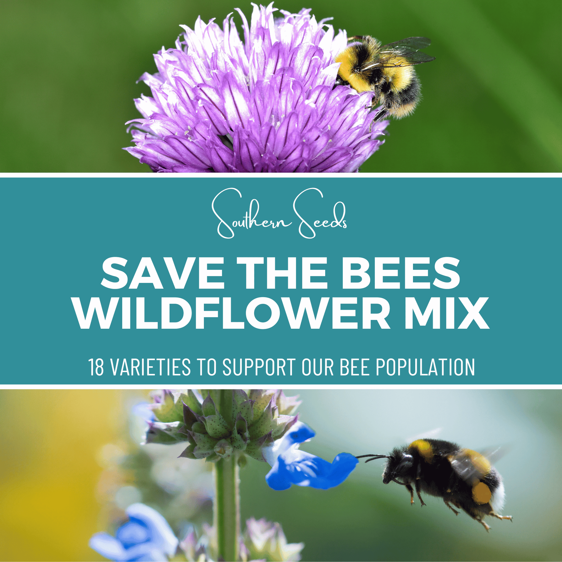 Wildflower Seed Mix for Bees and Pollinators – 1,000 Heirloom, Open Pollinated, Non-GMO Seeds, Attracts Bees & Butterflies