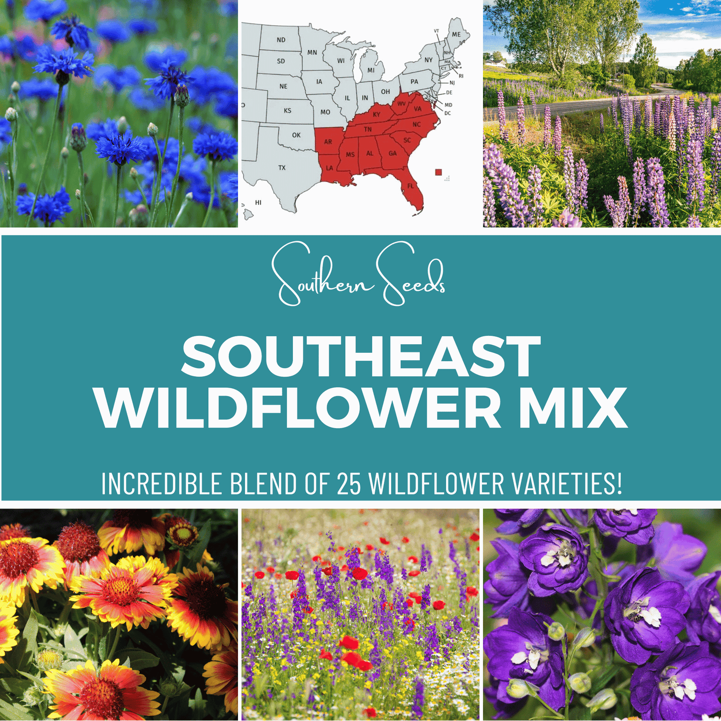 Wildflower Seed Mix 24 Varieties for Southeast US – Native, Pollinator-Friendly, Heirloom, Open Pollinated, Non-GMO