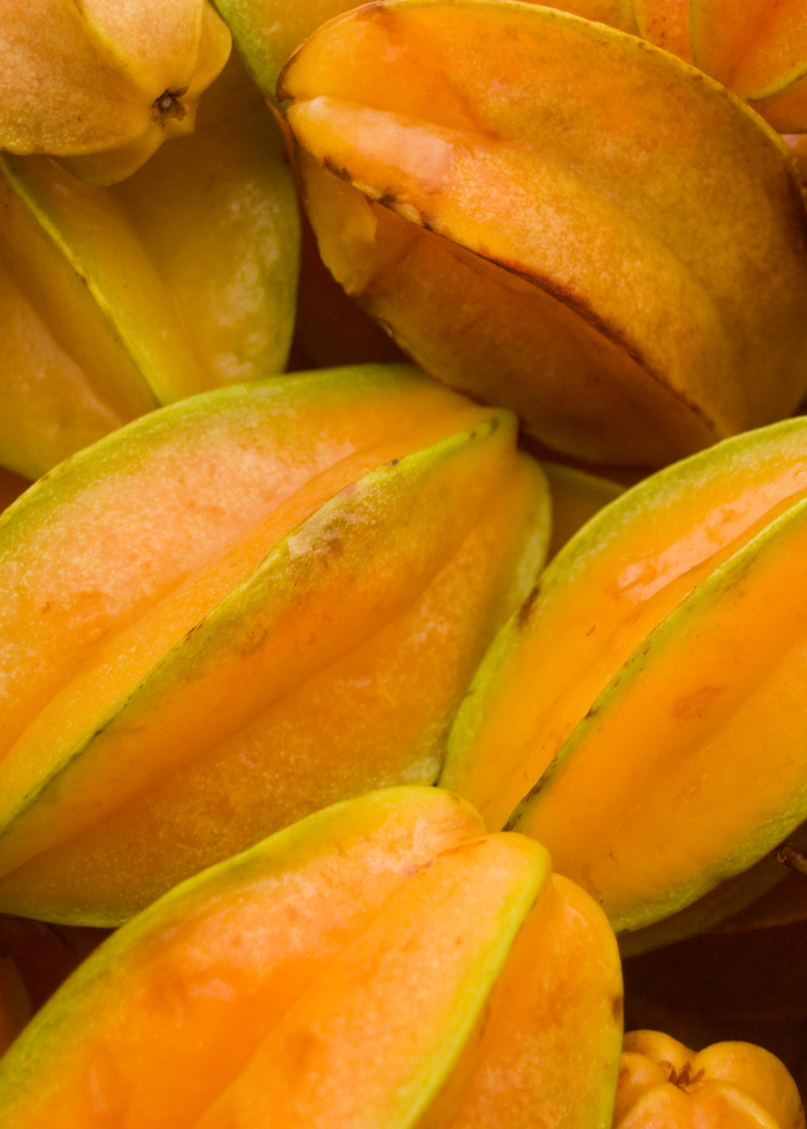 Star Fruit Tree Lara 'Averrhoa carambola' Grafted Tropical Fruit for Home Gardens