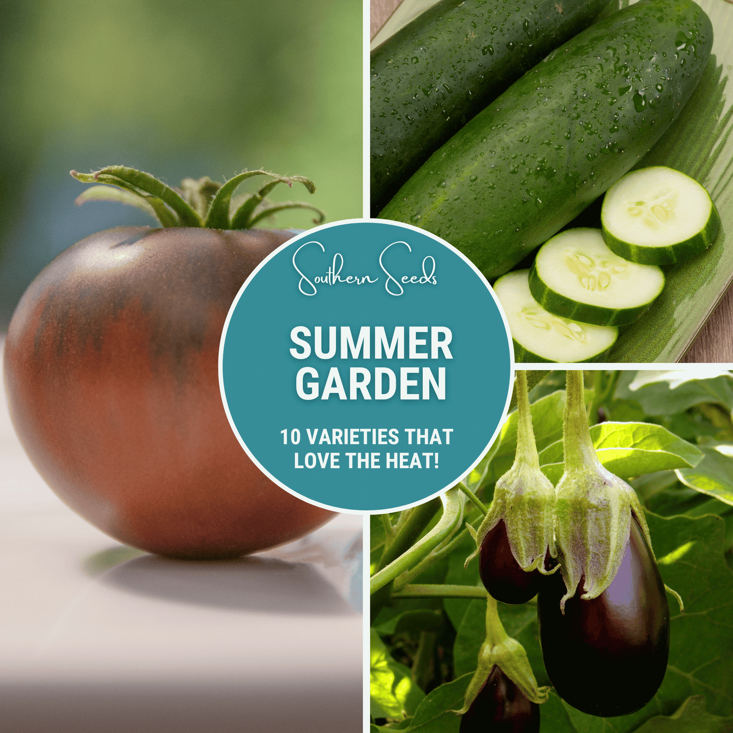 Summer Garden Seed Collection – 10 Heat-Loving Vegetables Including Beans, Cucumbers, Eggplants, Peppers, Tomatoes, Watermelon
