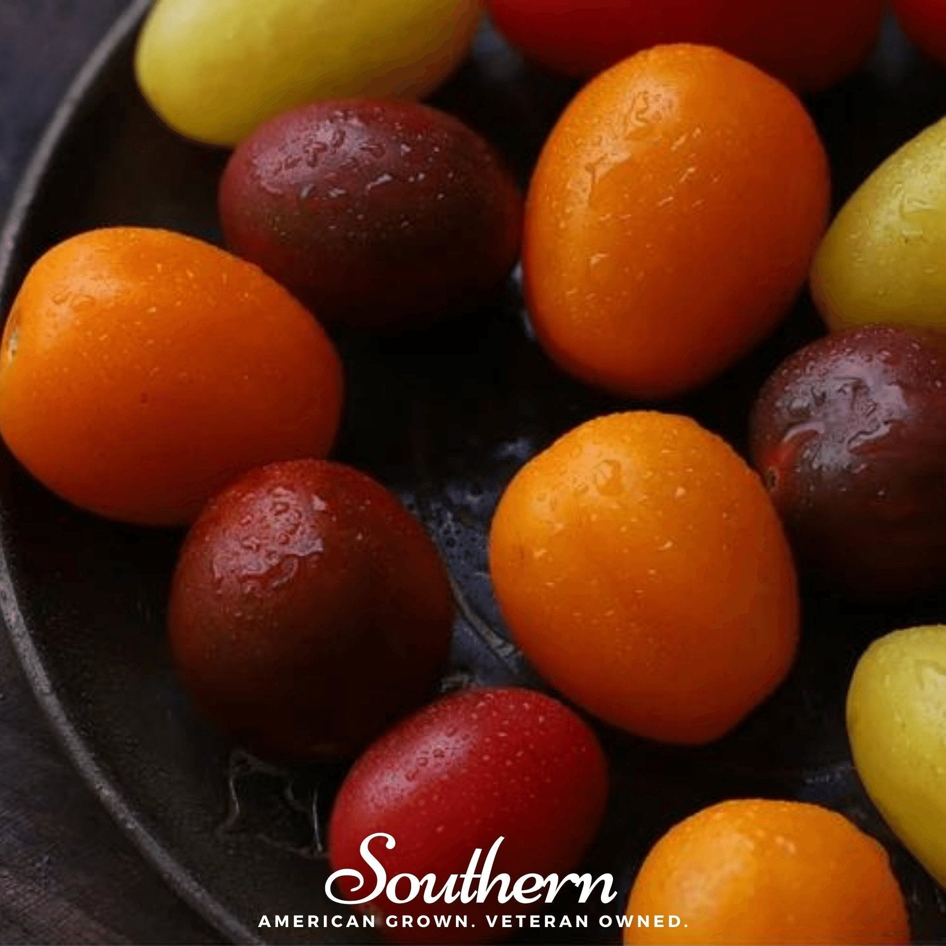 Rainbow Cherry Tomato Seeds – Heirloom, Non-GMO, Indeterminate, Colorful Mix, 50 Seeds, Solanum lycopersicum