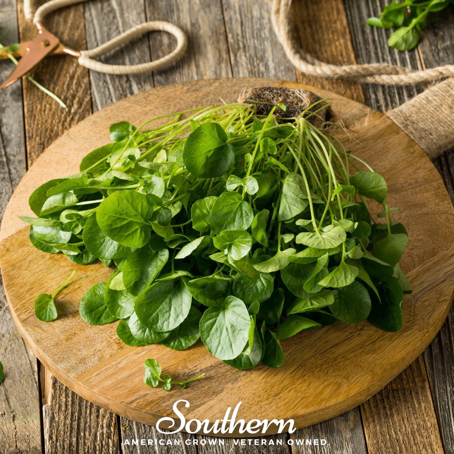 Watercress Seeds – 200 Heirloom Nasturtium officinale Gourmet Peppery Green for Salads & Cooking