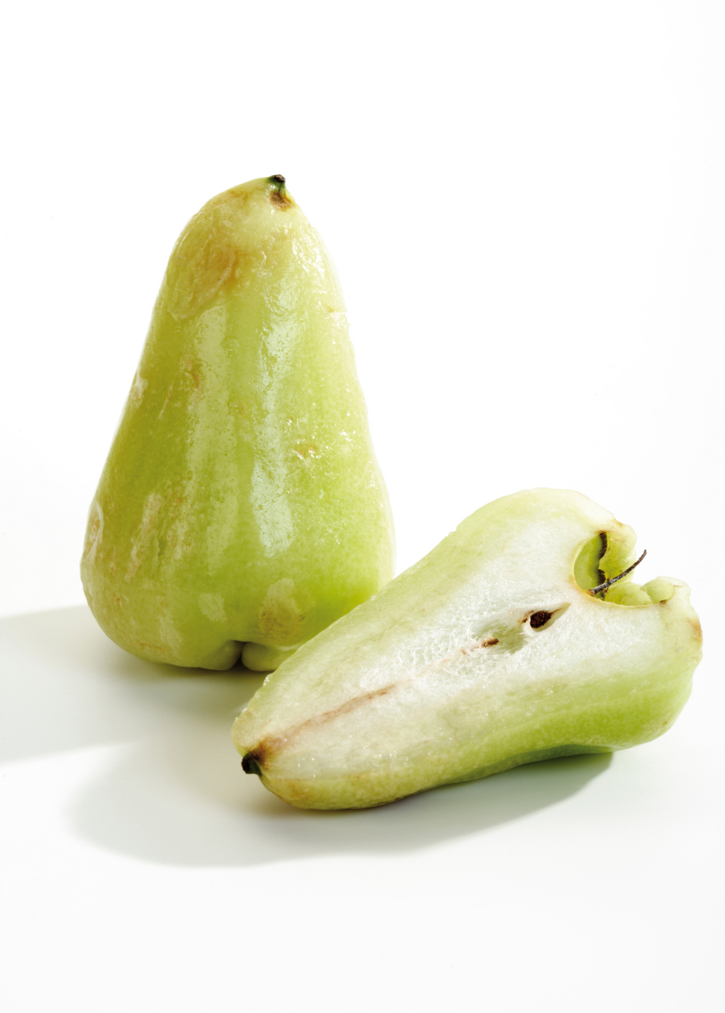Wax Jambu Green Fruit Tree, Syzygium samarangense, Exotic Tropical Fruit, Bell-Shaped, Refreshing White Flesh