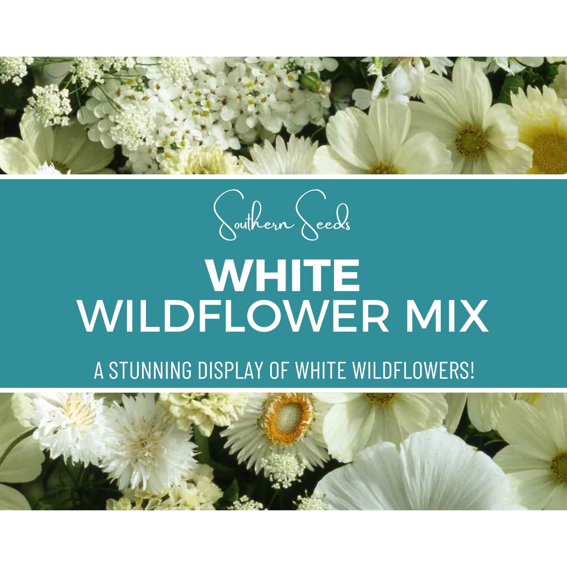White Wildflower Seed Mix – 100 Heirloom, Non-GMO, Annual & Perennial Flowers for Moon Gardens, Pollinators, Wildflower Meadow